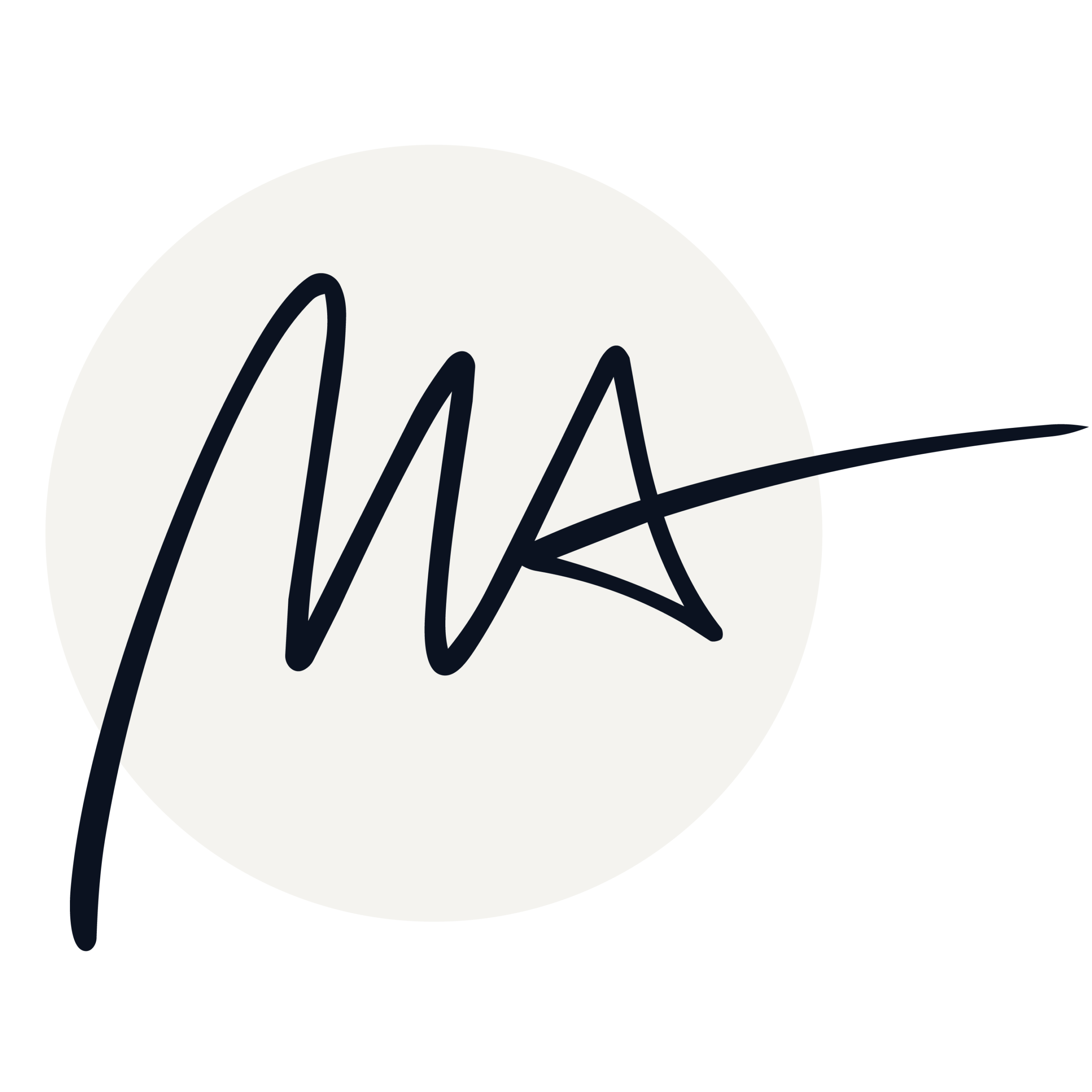 mayeranton.com